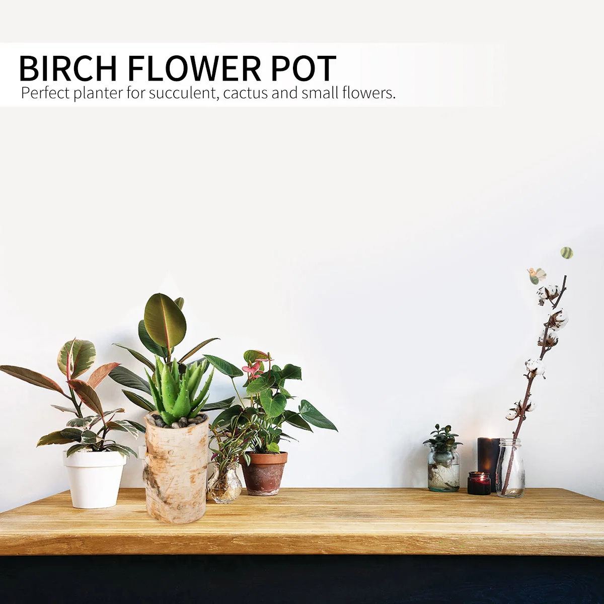 Wooden Flower Pot Handmade Birch Planter For Succulent Cactus Small Plants Indoor Outdoor Decor Garden Bonsai Storage
Wooden Flower Pot Handmade Birch Planter For Succulent Cactus Small Plants Indoor Outdoor Decor Garden Bonsai Storage