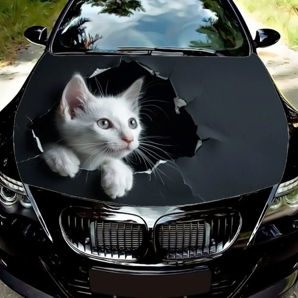 Cute kitten's mischievous peeking graphic car vinyl wraps, car hood vinyl sticker, quality and appearance coexist
Cute kitten's mischievous peeking graphic car vinyl wraps, car hood vinyl sticker, quality and appearance coexist