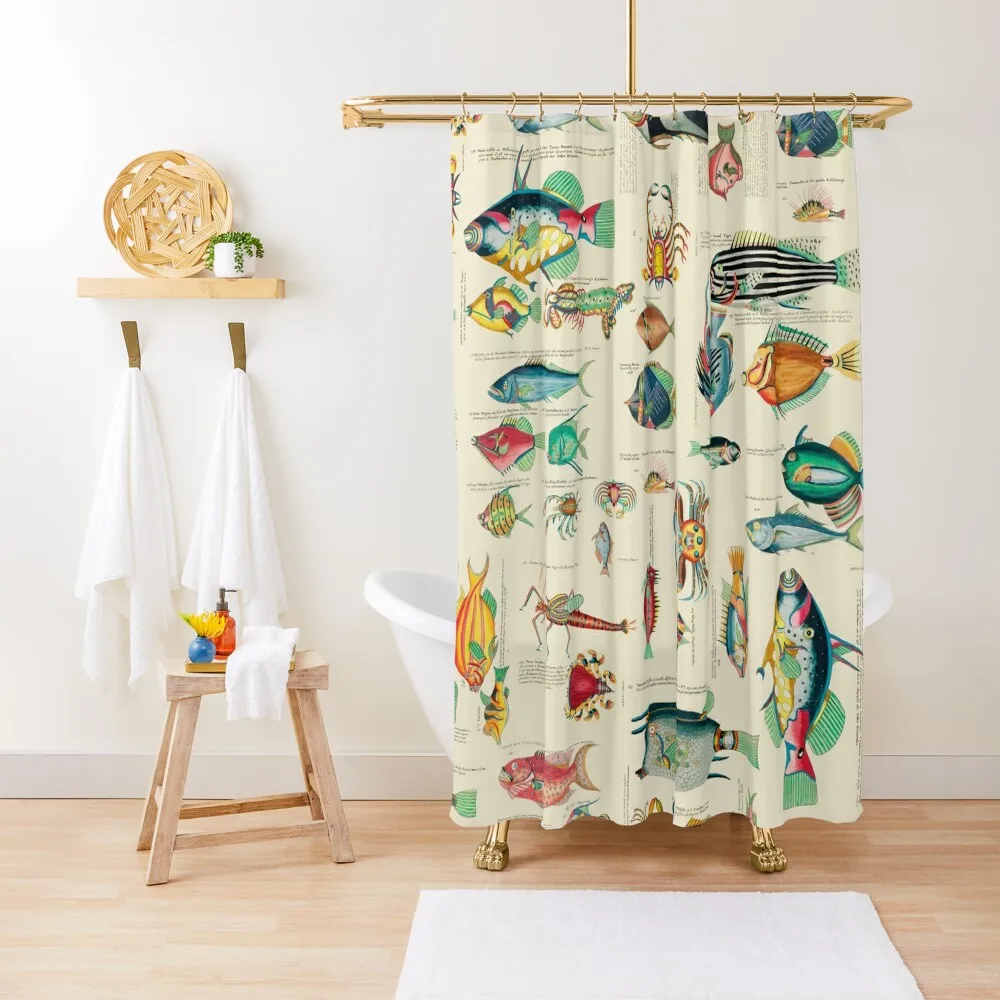 Multicolor Vintage Fish And Sea Life Pattern Shower Curtain For Shower Funny Shower Curtain
Multicolor Vintage Fish And Sea Life Pattern Shower Curtain For Shower Funny Shower Curtain