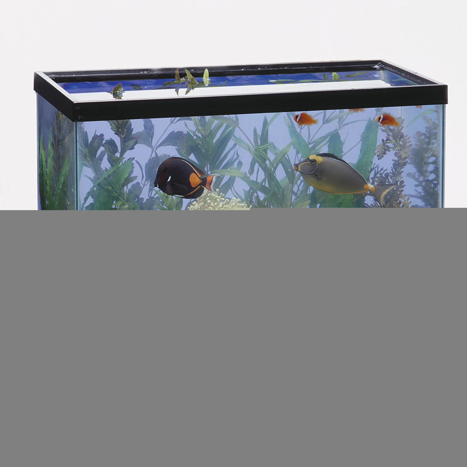 10 Pcs Reproduction Ceramic Square Aquarium Decor Grey Practical Use Square Base Ceramic Base Aquarium Coral Rack Coral
10 Pcs Reproduction Ceramic Square Aquarium Decor Grey Practical Use Square Base Ceramic Base Aquarium Coral Rack Coral