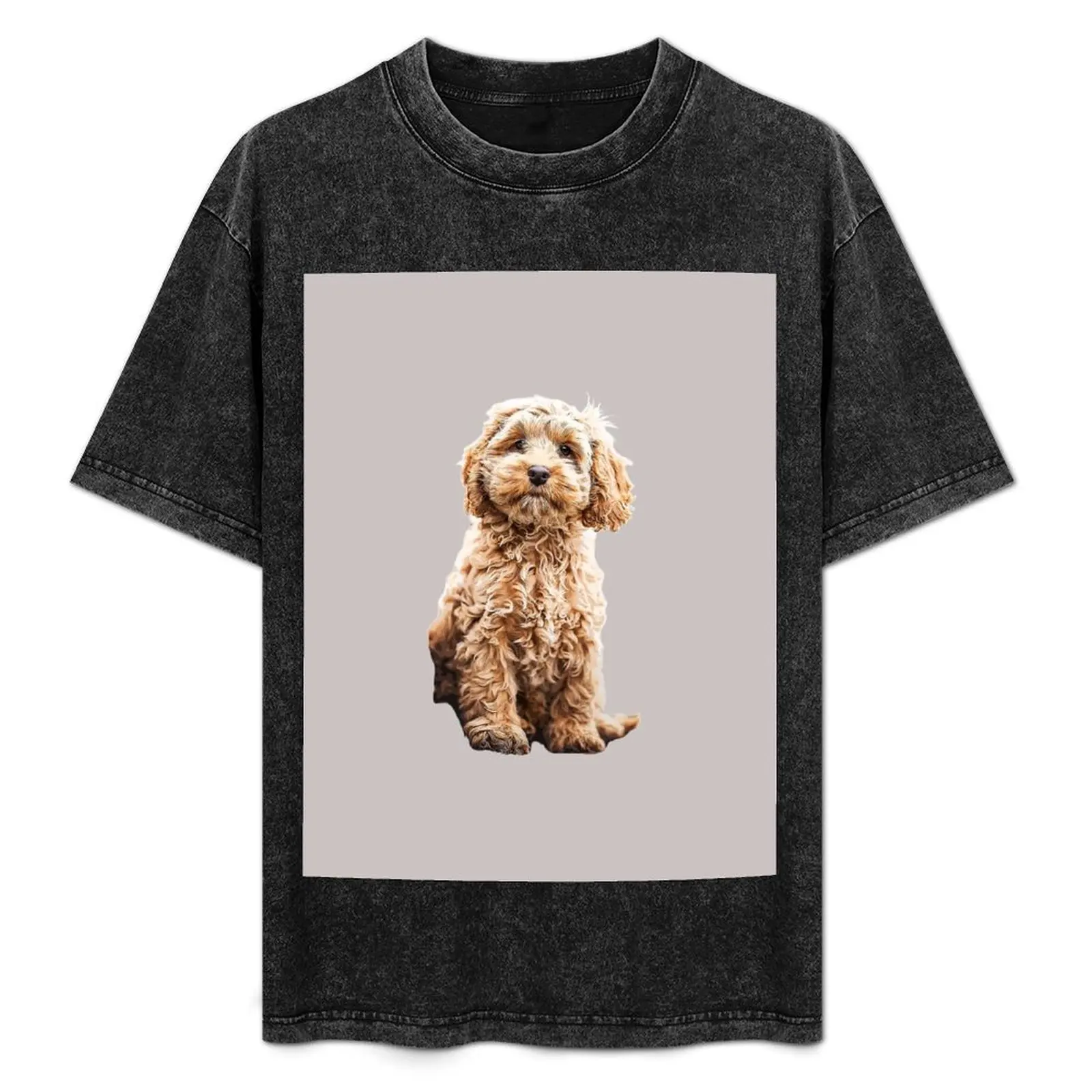 Cockapoo Cavoodle Labradoodle Cute Puppy Dog- Poodle x T-Shirt Summer Holiday Casual Tee
Cockapoo Cavoodle Labradoodle Cute Puppy Dog- Poodle x T-Shirt Summer Holiday Casual Tee