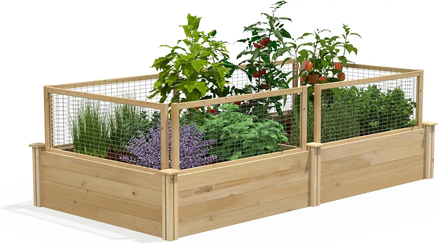 Premium Cedar Raised Garden Bed with CritterGuard Fence System, 4' x 8' x 14" (3/4" Thick) - Made in USA with North Amer
Premium Cedar Raised Garden Bed with CritterGuard Fence System, 4' x 8' x 14" (3/4" Thick) - Made in USA with North Amer