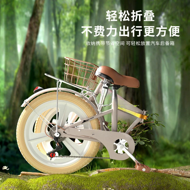 Bicycle variable speed folding, portable transportation bicycle
Bicycle variable speed folding, portable transportation bicycle