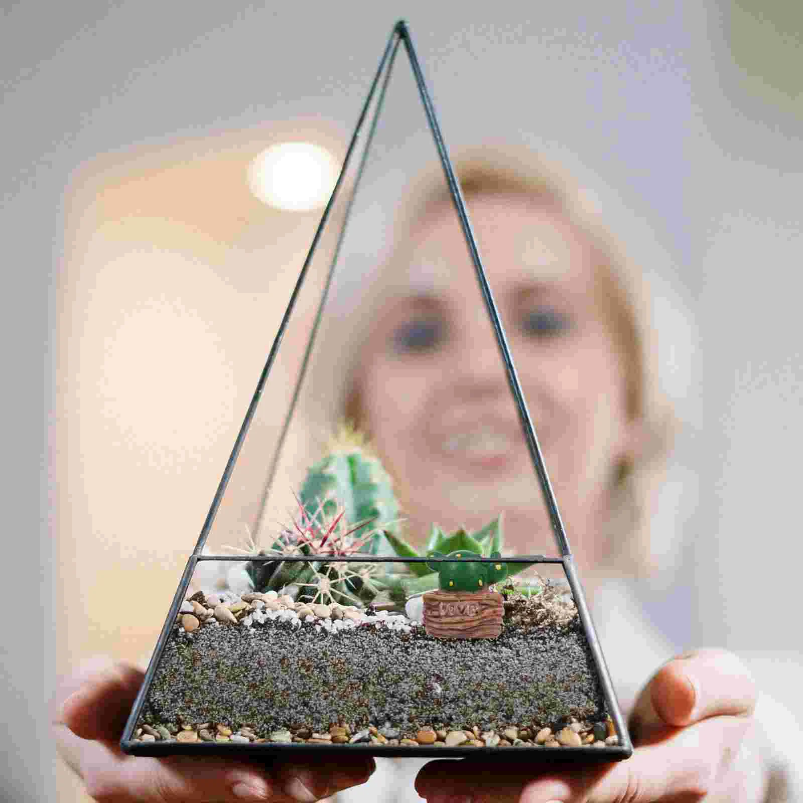 4 Pcs Moss Succulent Ornaments Plant Beautiful Decor Planters Desk Plants Adornments Micro Landscape
4 Pcs Moss Succulent Ornaments Plant Beautiful Decor Planters Desk Plants Adornments Micro Landscape