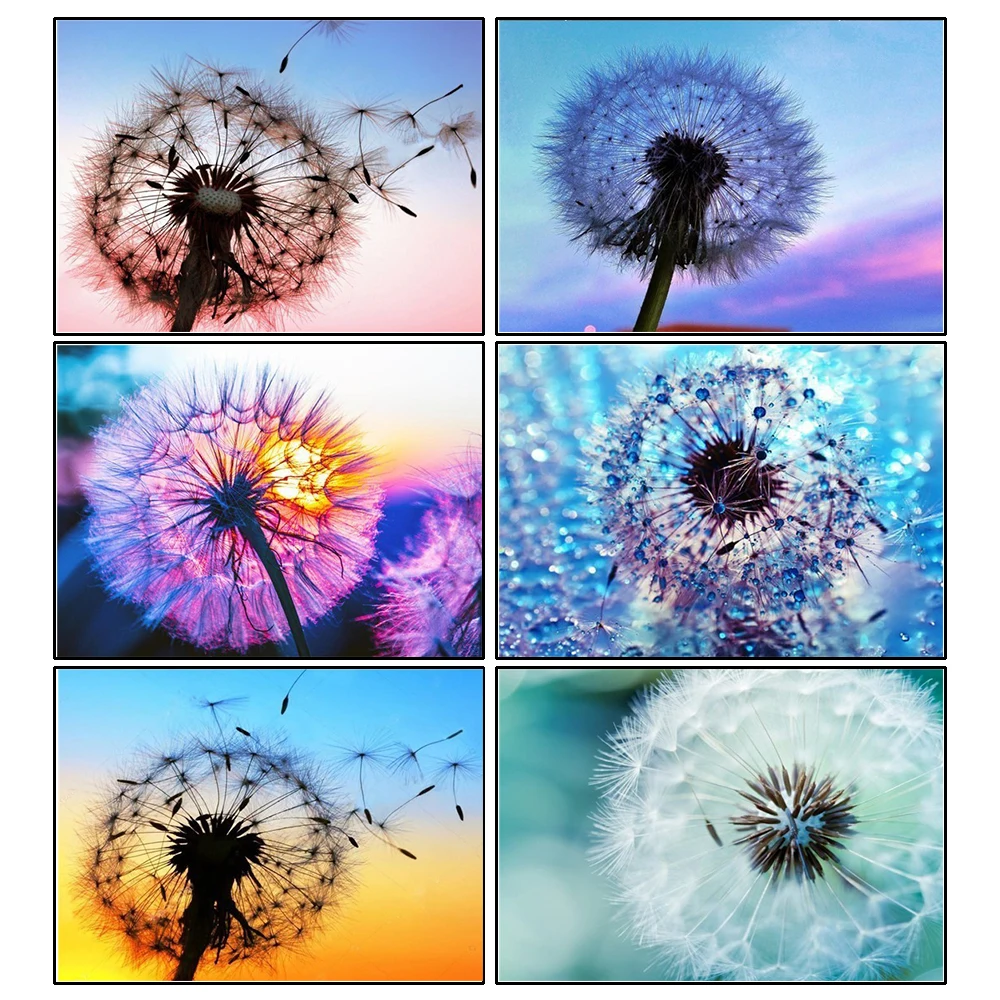 5d Diamond Painting Full SquareRound Dandelion Picture Of Rhinestone DIY Diamond Embroidery Home Decor
5d Diamond Painting Full SquareRound Dandelion Picture Of Rhinestone DIY Diamond Embroidery Home Decor