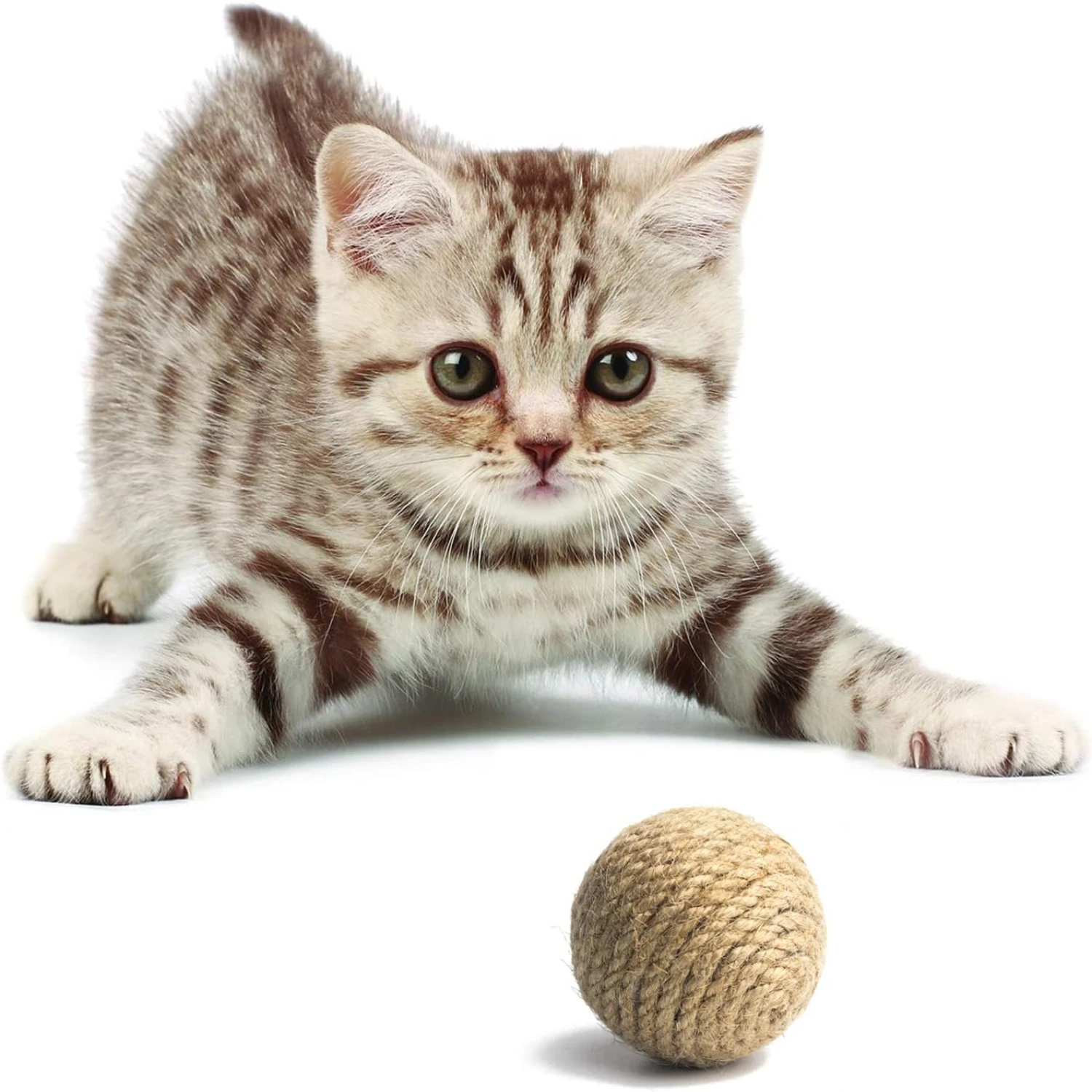 4PCS 1.8" Natural Sisal Ball Catnip Cat Toys, Handcrafted Cat Balls Filled with Cat Nip and Gravel, Toys Kitten Toys for Indoor
4PCS 1.8" Natural Sisal Ball Catnip Cat Toys, Handcrafted Cat Balls Filled with Cat Nip and Gravel, Toys Kitten Toys for Indoor