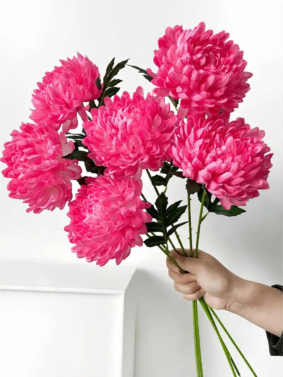 1pcs 50cm Artificial Chrysanthemum Flowers, Suitable For Wall, Living Room, Bedroom, Wedding, Party Decoration, Tabletop
1pcs 50cm Artificial Chrysanthemum Flowers, Suitable For Wall, Living Room, Bedroom, Wedding, Party Decoration, Tabletop