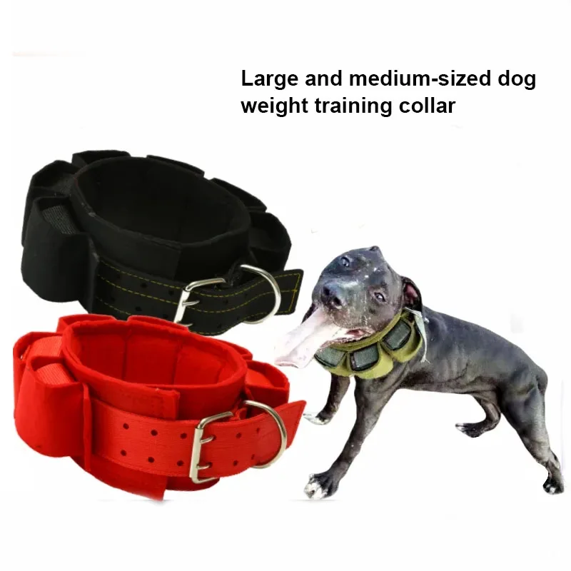 Ошейник для тренировок Pitbull Empty Shell Weight Carrying Workout Collar с карманами для утяжелителей, для развития мышечной силы, для собак крупных, средних и мелких пород
Ошейник для тренировок Pitbull Empty Shell Weight Carrying Workout Collar с карманами для утяжелителей, для развития мышечной силы, для собак крупных, средних и мелких пород