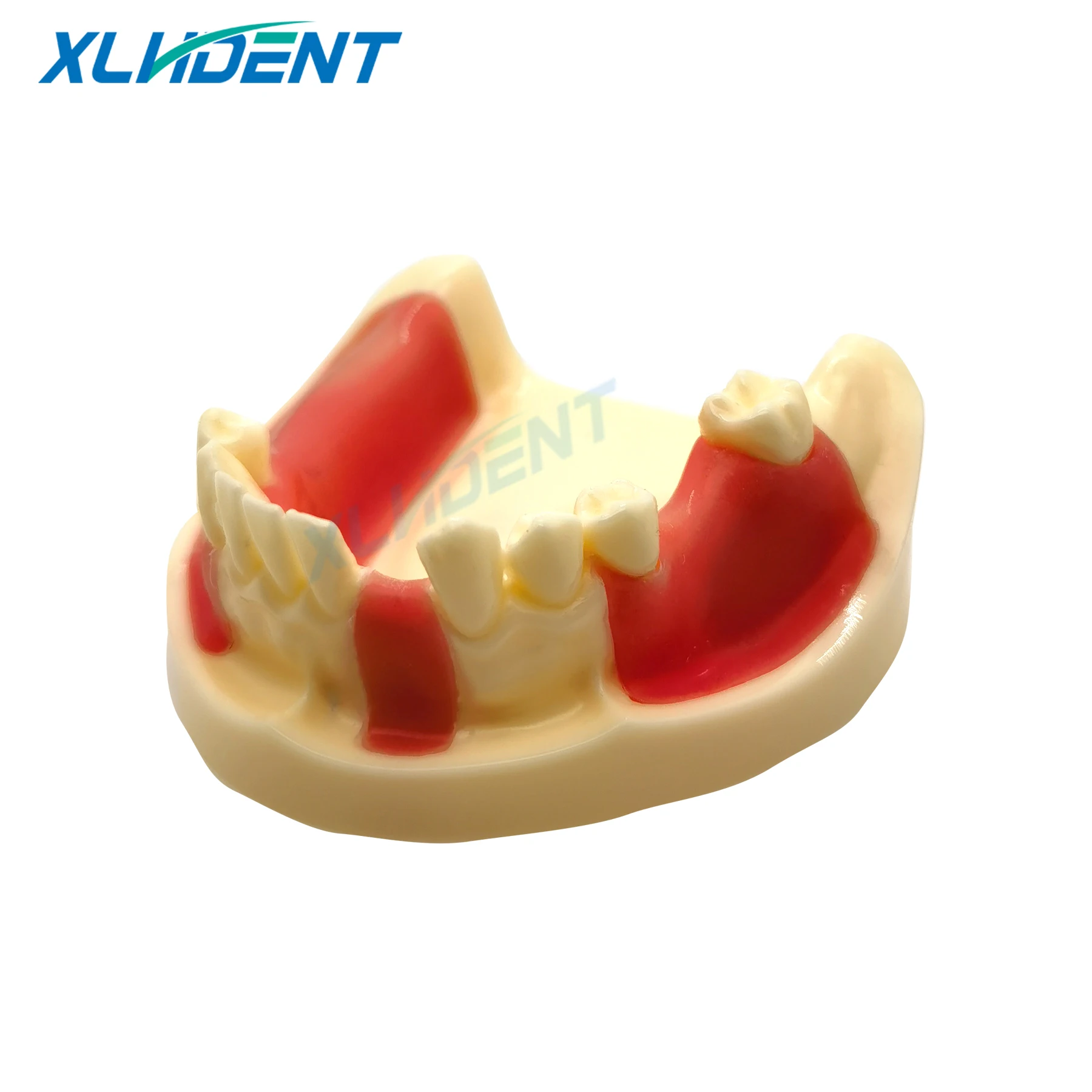 Dental Model Teeth Implant Practice Model Educational for Dental Medicine Model Dental Students Training Teaching Product
Dental Model Teeth Implant Practice Model Educational for Dental Medicine Model Dental Students Training Teaching Product