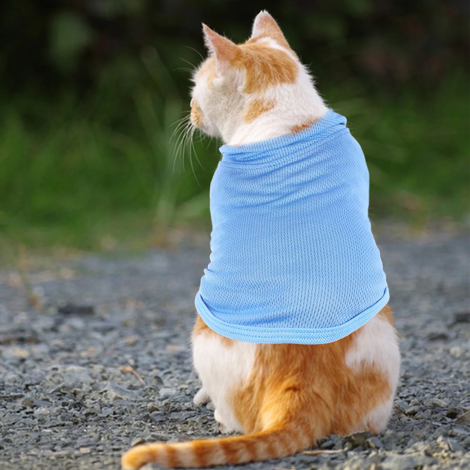 4 Pcs Dog T-shirts Large Dogs Breathable Pet Clothes Cotton Shirts Cute Dog Wear Fashion Pet Costumes Summer Puppy Clothing
4 Pcs Dog T-shirts Large Dogs Breathable Pet Clothes Cotton Shirts Cute Dog Wear Fashion Pet Costumes Summer Puppy Clothing