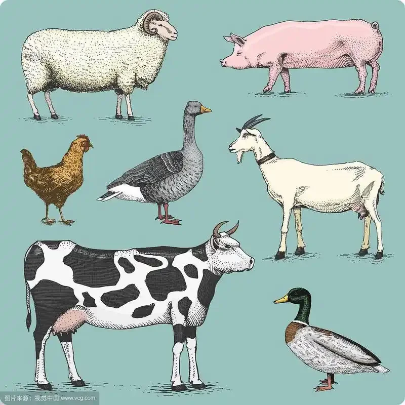 4pcs 1.9inch 110mm Climbing car wheels and tires For 1/10 Rock Track Redcat Scx10 Axial 90046/90047 Rc4wd Yikong D90 Trx4 Trx6
4pcs 1.9inch 110mm Climbing car wheels and tires For 1/10 Rock Track Redcat Scx10 Axial 90046/90047 Rc4wd Yikong D90 Trx4 Trx6