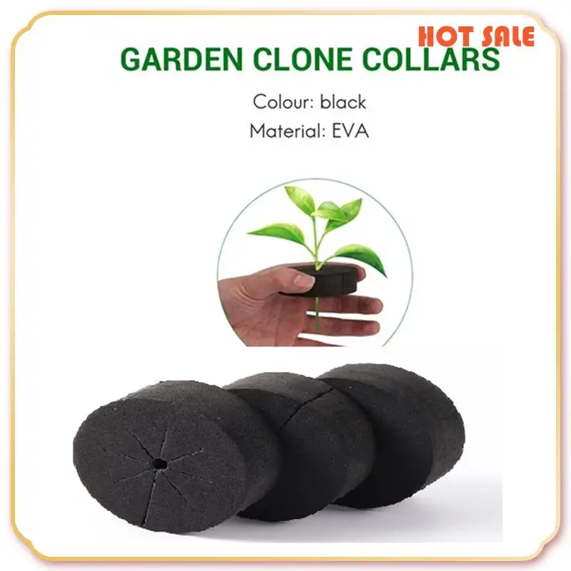 ABFA 70Pcs Garden Clone Net Pots Cloning Collar Sponge For 2 Inch Net Pots Hydroponics Systems And Plants Root Sponge
ABFA 70Pcs Garden Clone Net Pots Cloning Collar Sponge For 2 Inch Net Pots Hydroponics Systems And Plants Root Sponge
