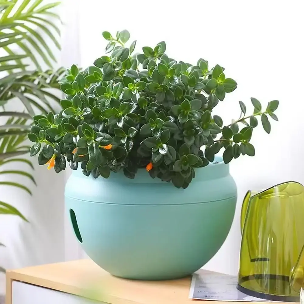 Plastic Bowl-Shaped Flower Pot Detachable with Hook Water Storage Planter Self Absorbing Water Plant Hanging Basket Balcony
Plastic Bowl-Shaped Flower Pot Detachable with Hook Water Storage Planter Self Absorbing Water Plant Hanging Basket Balcony