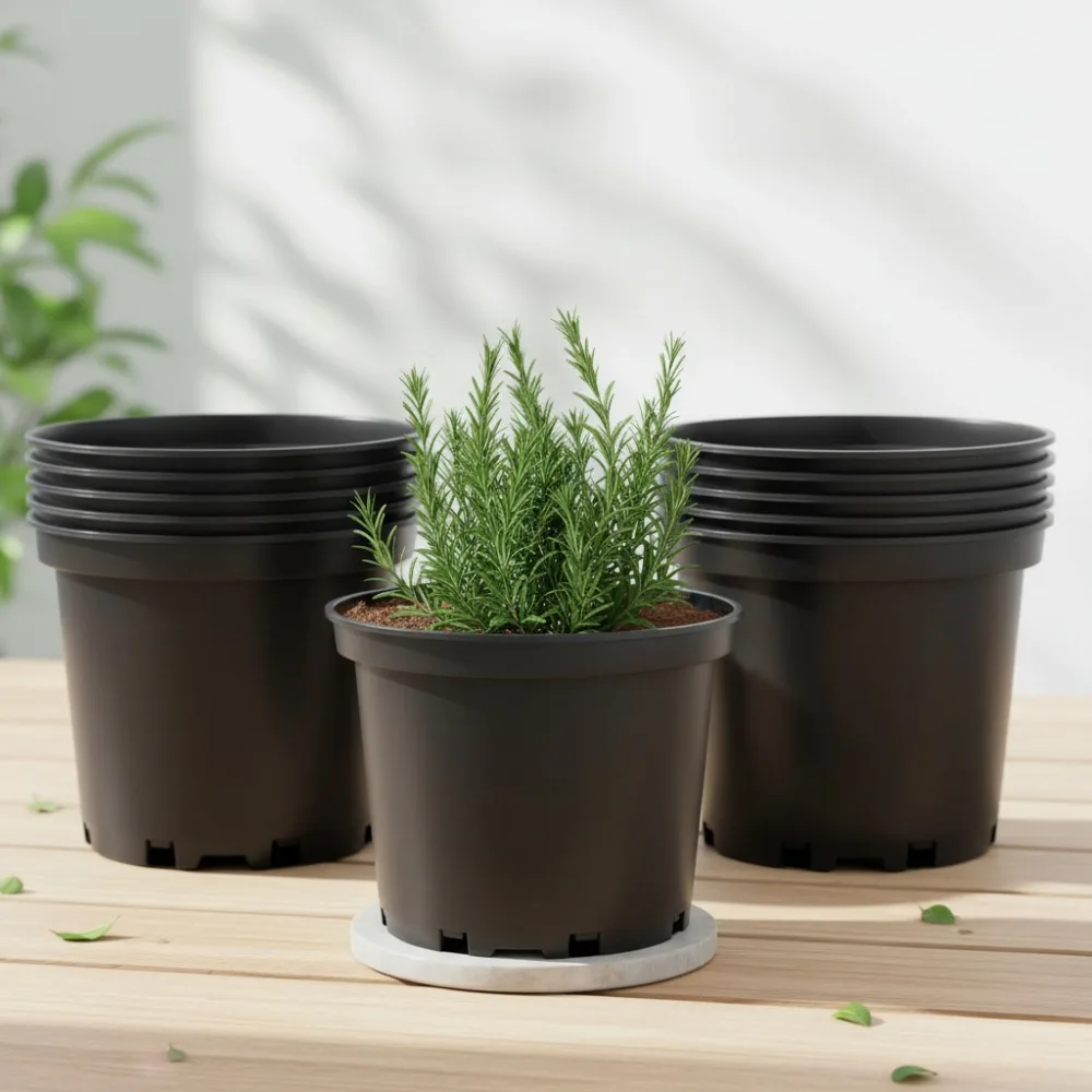 10 шт. 2-галонные горшки для растений с дренажными отверстиями, прочные пластиковые детские контейнеры для внутренней и наружной садовой теплицы
10 шт. 2-галонные горшки для растений с дренажными отверстиями, прочные пластиковые детские контейнеры для внутренней и наружной садовой теплицы