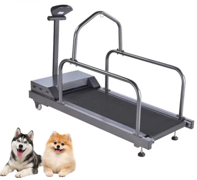2026 Dog Training Machine Best Selling 5 HP Treadmill for Pets Walking and Running Pet Treadmill for Pet Supplies
2026 Dog Training Machine Best Selling 5 HP Treadmill for Pets Walking and Running Pet Treadmill for Pet Supplies