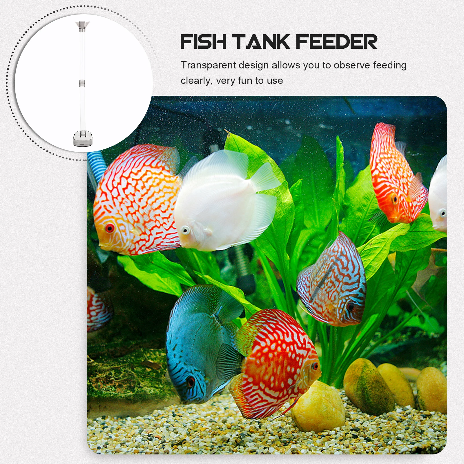 4pcs Fish Tank Feeding Tube Aquarium Shrimp Acrylic High Grade Easy Install Detach Clean Feed Residue Purer Water Planted
4pcs Fish Tank Feeding Tube Aquarium Shrimp Acrylic High Grade Easy Install Detach Clean Feed Residue Purer Water Planted
