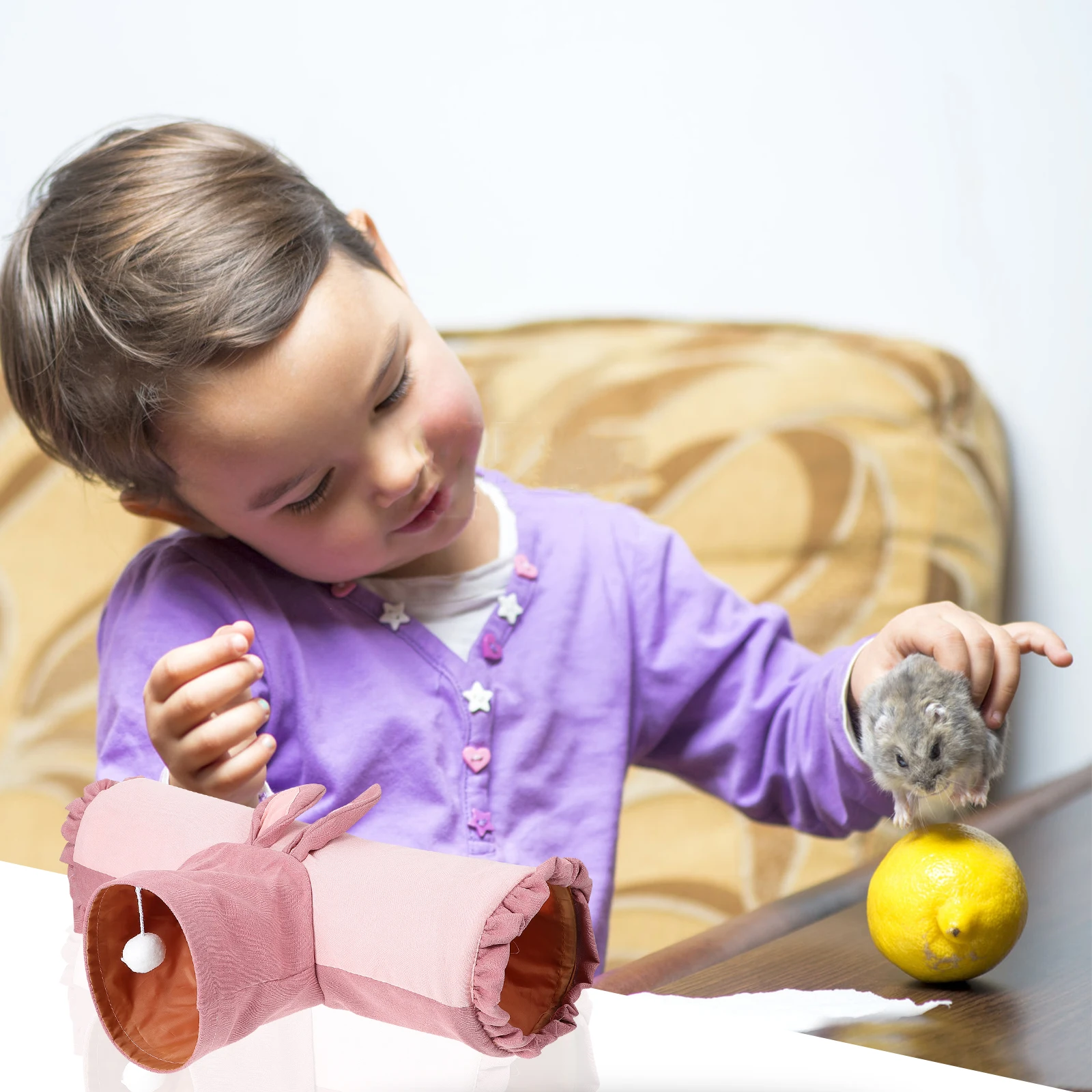 Collapsible Pet Toy House Hamster Rolling Dragon Rabbit Tunnel Small Animals Plaything Gerbil Travel Bed Nest Rest Sleep Warm
Collapsible Pet Toy House Hamster Rolling Dragon Rabbit Tunnel Small Animals Plaything Gerbil Travel Bed Nest Rest Sleep Warm
