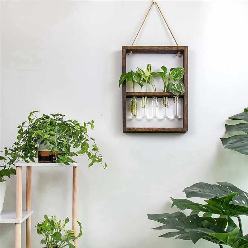 Best-Wall Mounted Hanging Plants Test Tube Flower Bud Glass Terrarium Wooden Frame For Home Garden Wedding Decoration
Best-Wall Mounted Hanging Plants Test Tube Flower Bud Glass Terrarium Wooden Frame For Home Garden Wedding Decoration