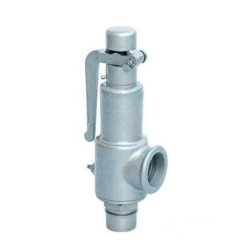 Пружинный предохранительный клапан из литой и углеродистой стали DN40 1,5 дюйма
Пружинный предохранительный клапан из литой и углеродистой стали DN40 1,5 дюйма