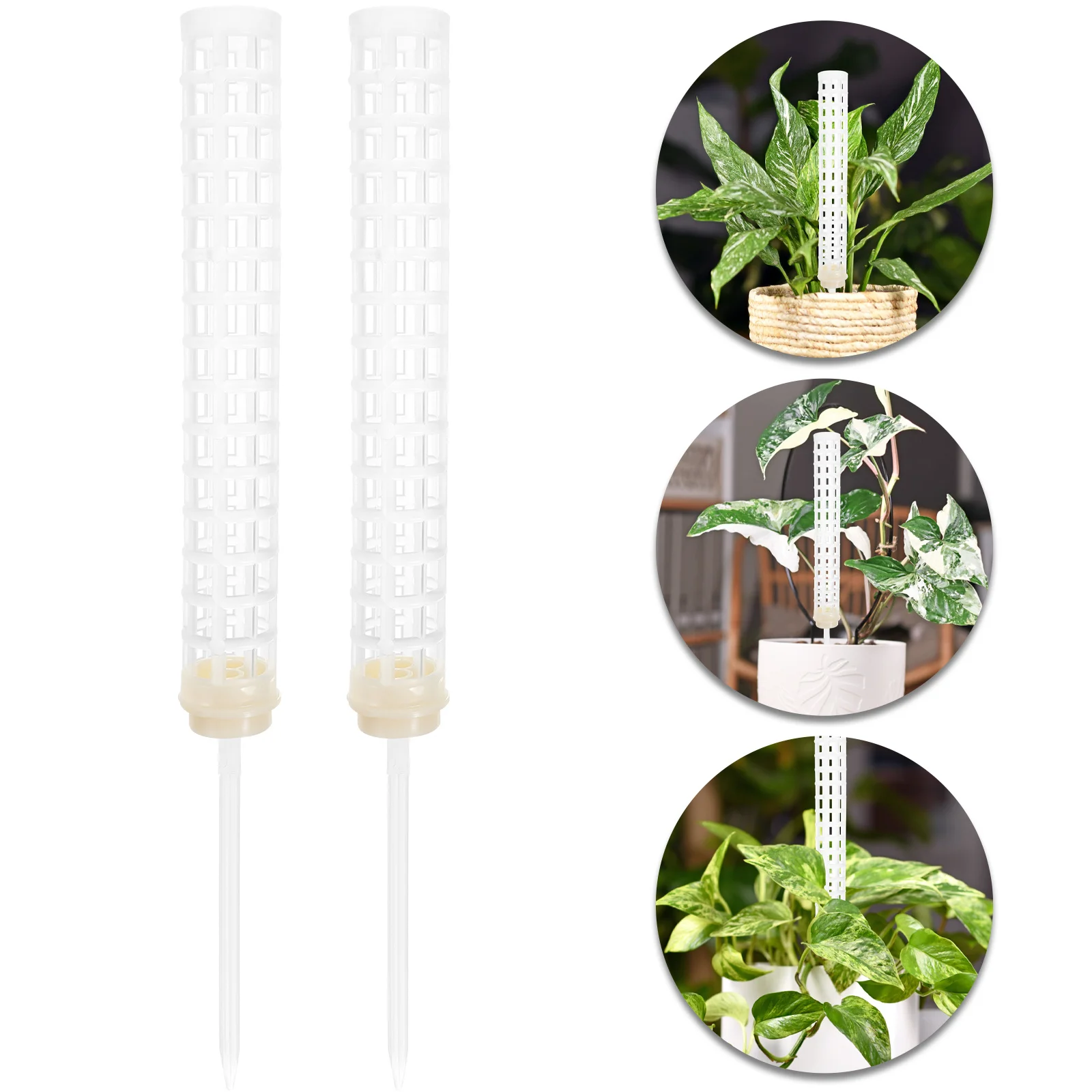 1Set Plant Climbing Column Moss Pole Support for Potted Vines Monstera Flower Pot Climbing Plants Indoor Trellis
1Set Plant Climbing Column Moss Pole Support for Potted Vines Monstera Flower Pot Climbing Plants Indoor Trellis