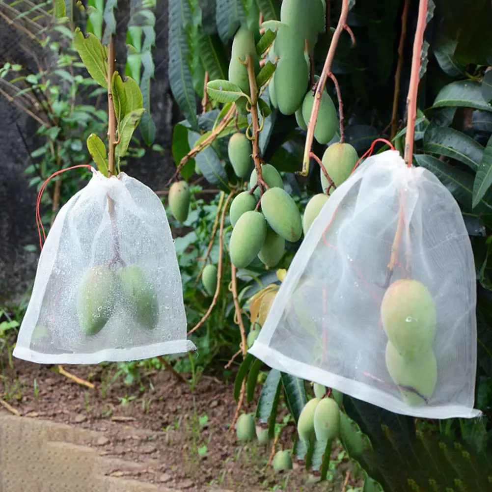 50Pcs Fruit Insects Barrier Drawstring Mesh Bags Plant Protection Covers Easy Install Garden Nets Fruit Insects Barrier
50Pcs Fruit Insects Barrier Drawstring Mesh Bags Plant Protection Covers Easy Install Garden Nets Fruit Insects Barrier