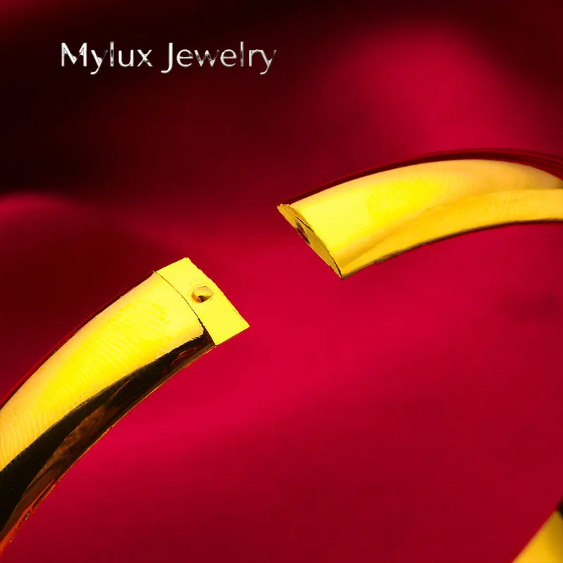 Mylux Jewelry Snap Smooth Bangle for Women, 24K Gold, AU999 | Matte gold with vertical texture & diamond snap, subtle luxury for
Mylux Jewelry Snap Smooth Bangle for Women, 24K Gold, AU999 | Matte gold with vertical texture & diamond snap, subtle luxury for