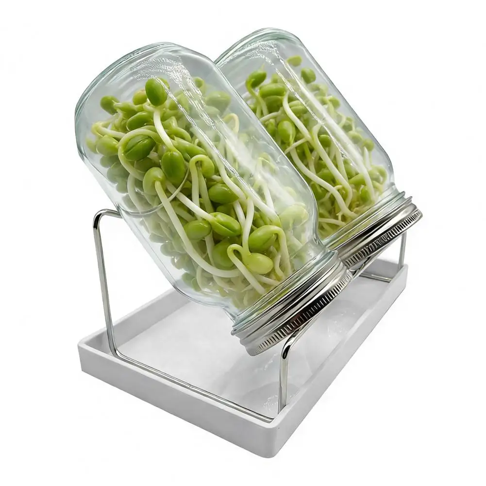 86mm Jar Sprouting Lid 70/86mm Wide Mouth Jar Sprouting Lid Stainless Steel Bean Sprouts Cover Mung Bean Germination for Growing
86mm Jar Sprouting Lid 70/86mm Wide Mouth Jar Sprouting Lid Stainless Steel Bean Sprouts Cover Mung Bean Germination for Growing