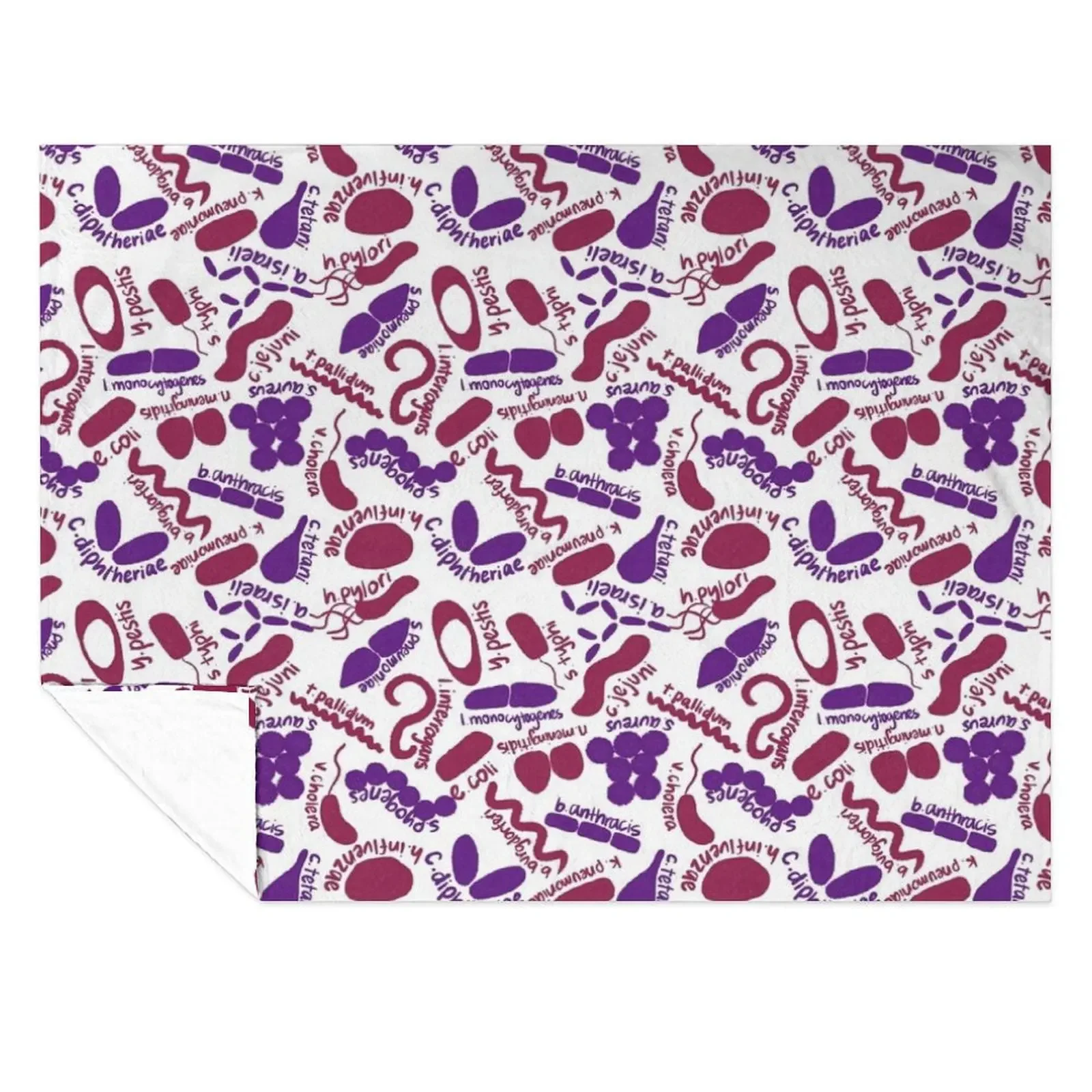 Gram Stain - Labeled Throw Blanket Bed Fashionable Sofa Thins Sofa Throw Blankets
Gram Stain - Labeled Throw Blanket Bed Fashionable Sofa Thins Sofa Throw Blankets