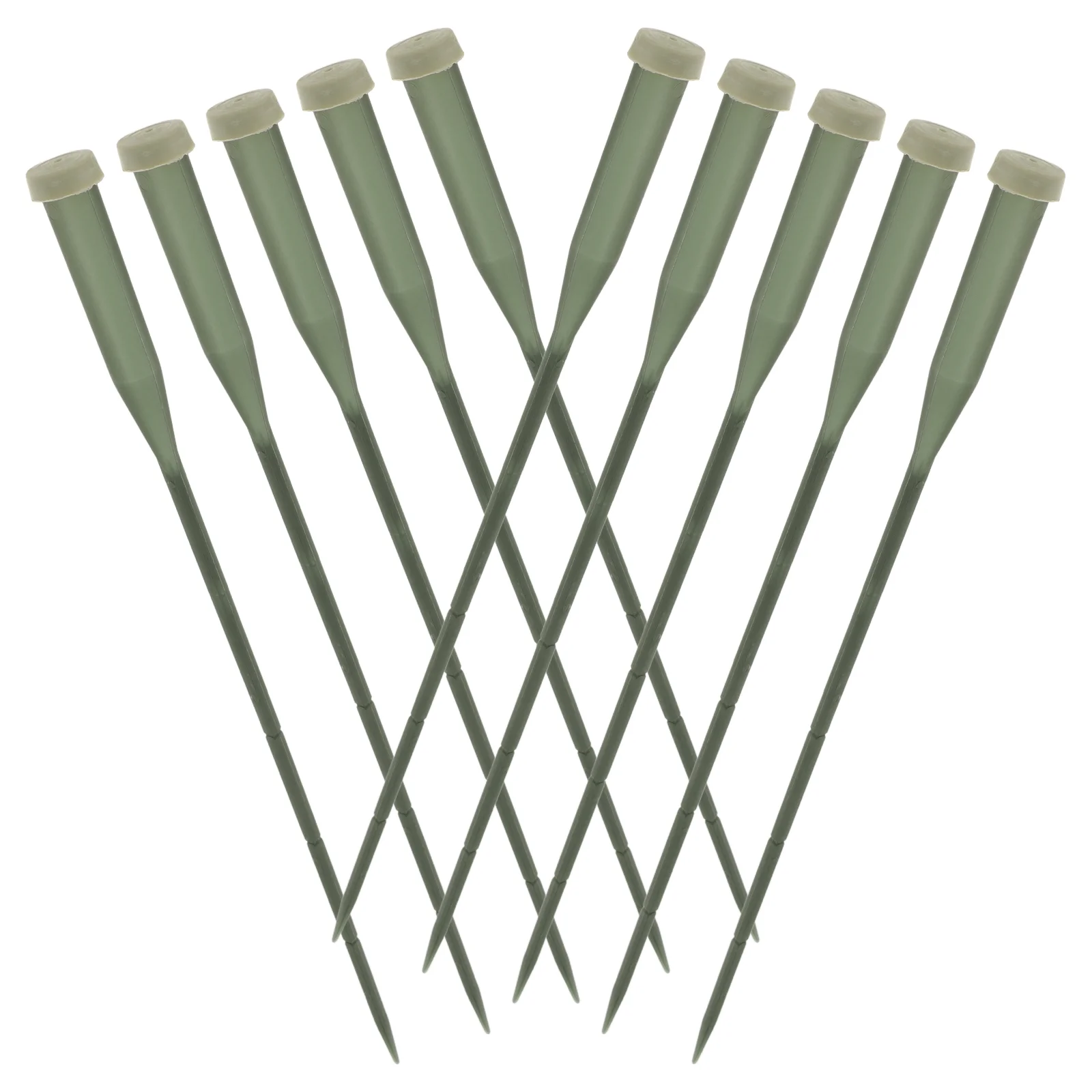 Plant Watering Can Planting Tube Bouquet Vials Flower Branch Miracle Grow Plastic Containers
Plant Watering Can Planting Tube Bouquet Vials Flower Branch Miracle Grow Plastic Containers