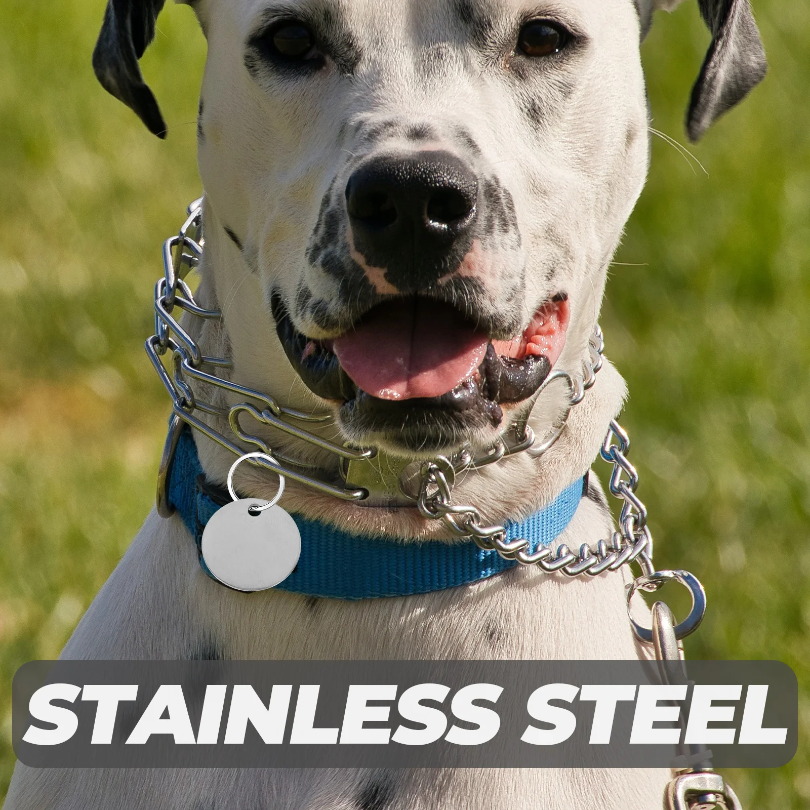 10pcs Stainless Steel Dog Blank Pet ID Tags Engraving Stamping Pendant 20MM Smooth Metal Tags for Crafts Puppy Name Tag
10pcs Stainless Steel Dog Blank Pet ID Tags Engraving Stamping Pendant 20MM Smooth Metal Tags for Crafts Puppy Name Tag