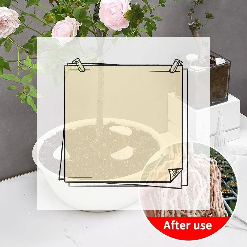 Набор из 3 конических дышащих сетчатых прокладок для полива растений, для аэрации почвы и защиты корней цветов и бонсай
Набор из 3 конических дышащих сетчатых прокладок для полива растений, для аэрации почвы и защиты корней цветов и бонсай