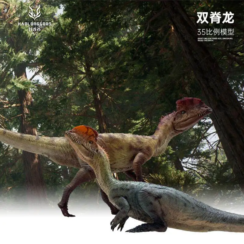 In Stock Haolong Valley Dilophosaurus Dilophosaurus Crownosaurus Jurassic Dinosaur Model Gift PVC Ornament Collection Gift
In Stock Haolong Valley Dilophosaurus Dilophosaurus Crownosaurus Jurassic Dinosaur Model Gift PVC Ornament Collection Gift