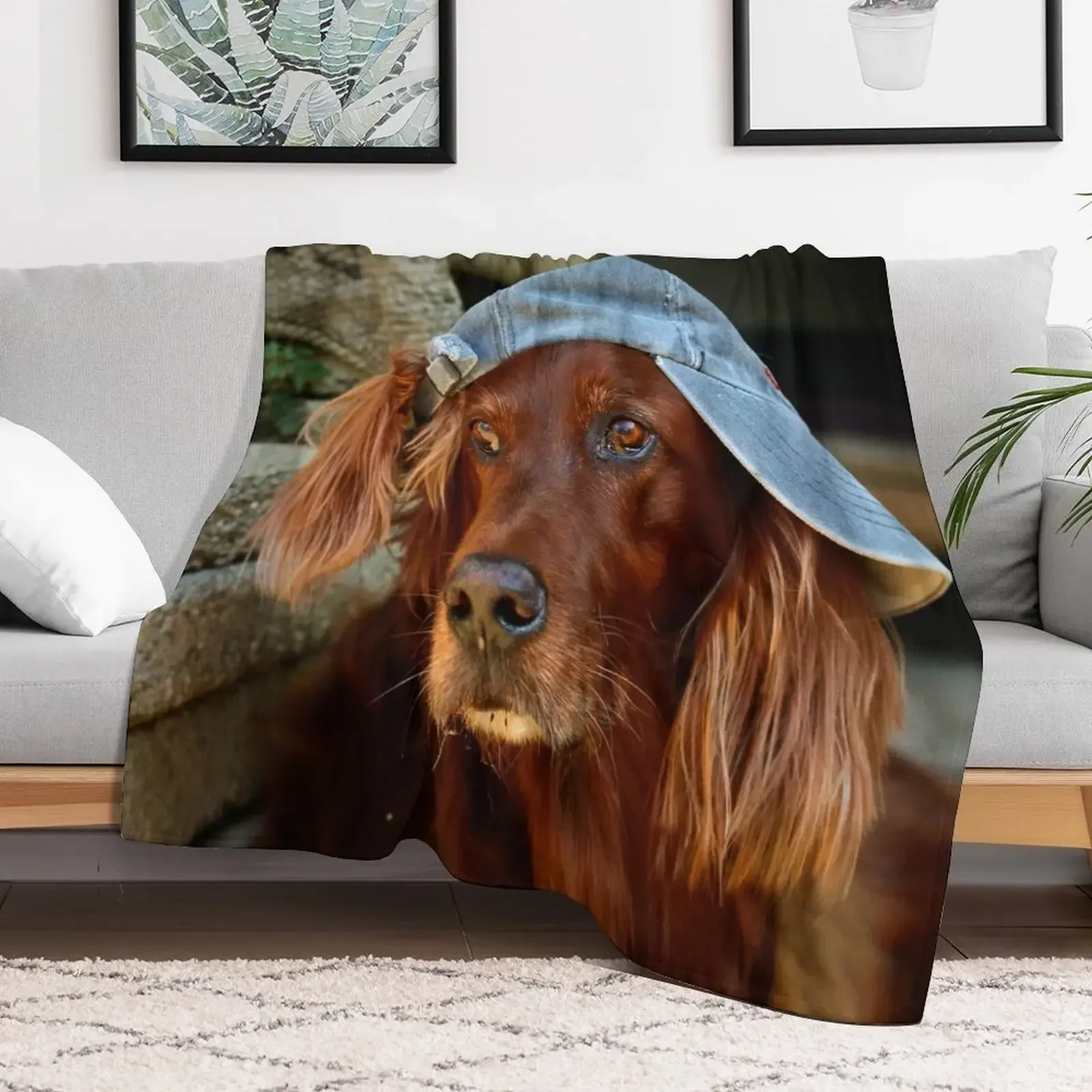 Irish Setter ~ cheeky ~ Throw Blanket Hairy warm winter Blankets Summer Beach Camping Luxury Throw Blankets
Irish Setter ~ cheeky ~ Throw Blanket Hairy warm winter Blankets Summer Beach Camping Luxury Throw Blankets