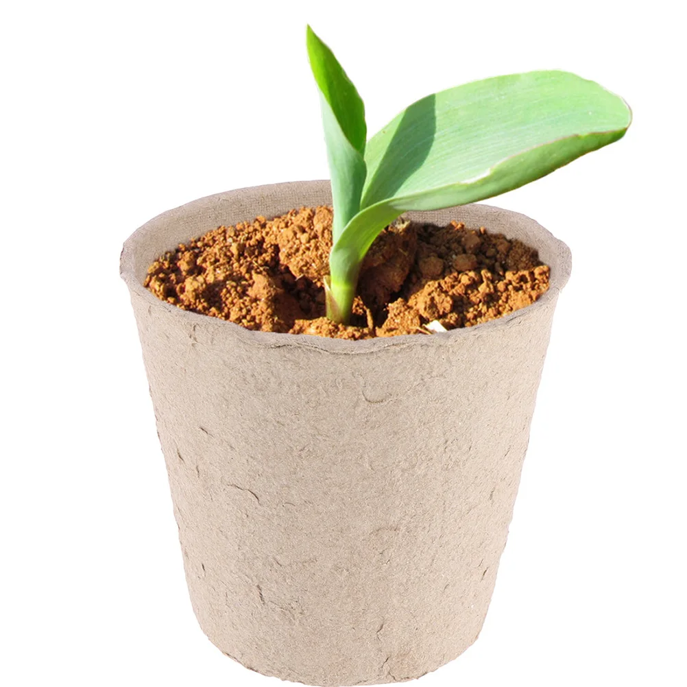 100pcs Nursery Cups Biodegradable Paper Pulp Planting Pot for Flowers Vegetables Seeds Cultivation Gardening Container
100pcs Nursery Cups Biodegradable Paper Pulp Planting Pot for Flowers Vegetables Seeds Cultivation Gardening Container