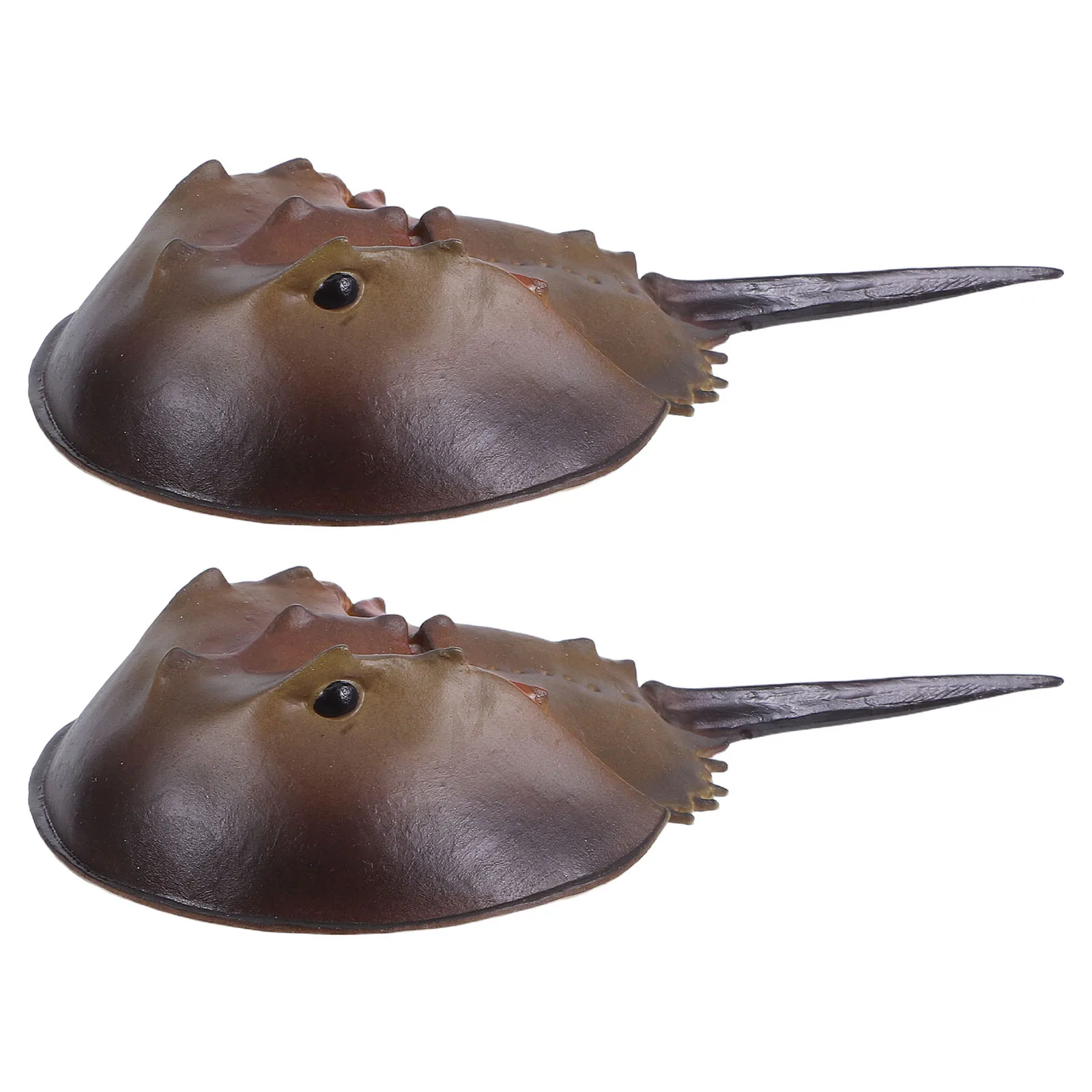 2 Pcs Horseshoe Crab Sea Life Toys Child Decor Plastic Dollhouse Food Miniature 
2 Pcs Horseshoe Crab Sea Life Toys Child Decor Plastic Dollhouse Food Miniature