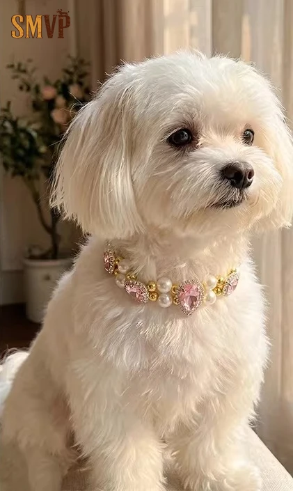 Original Design French Pink Zircon Pearl Necklace Gorgeous Elegant Style Pet Kitten Puppy Ornament Necklace Cat Accessories
Original Design French Pink Zircon Pearl Necklace Gorgeous Elegant Style Pet Kitten Puppy Ornament Necklace Cat Accessories