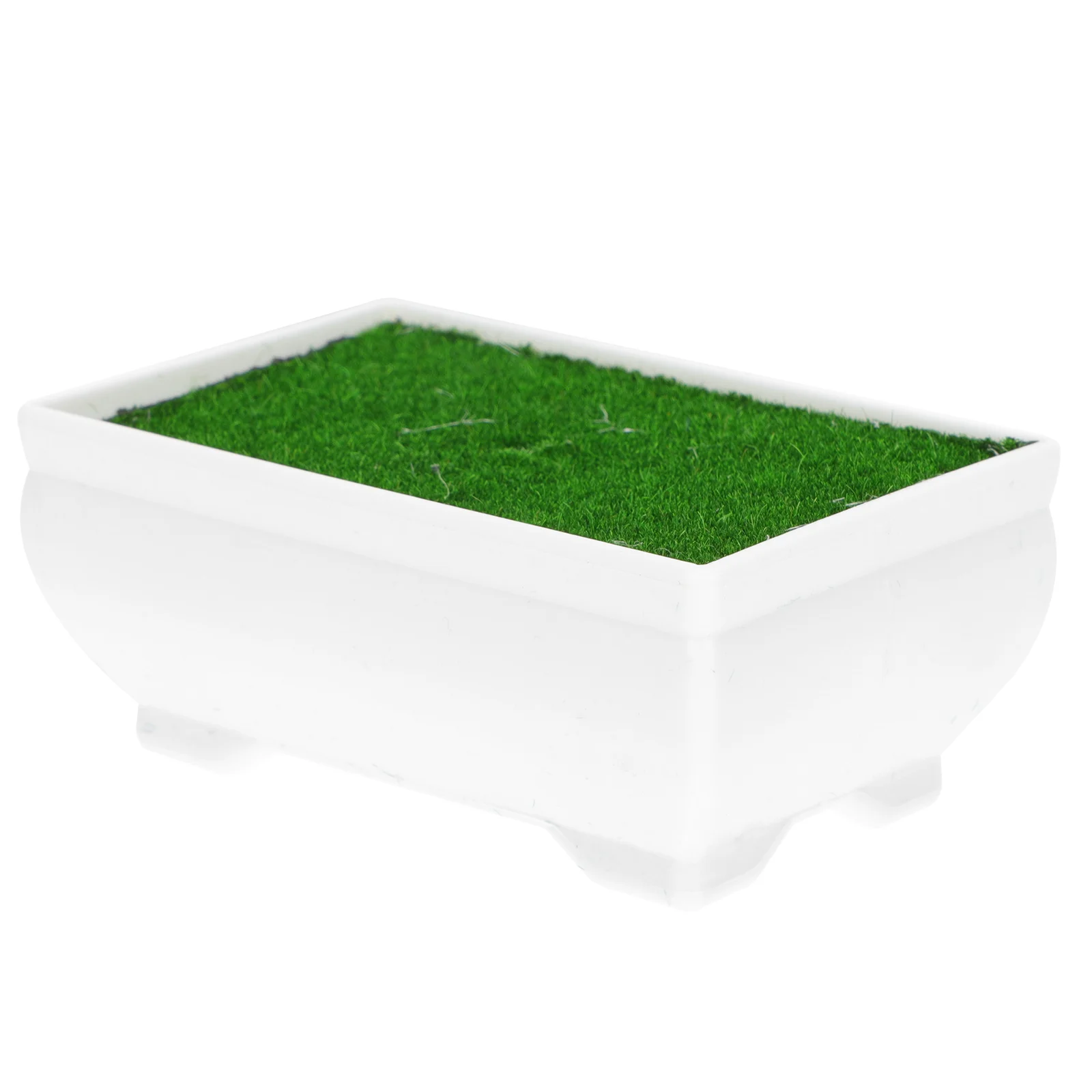 Foam Flocking Plastic Planter Novel Realistic Shape Home Decor Mood Garden Balcony Desk Room Stable Plant Pot
Foam Flocking Plastic Planter Novel Realistic Shape Home Decor Mood Garden Balcony Desk Room Stable Plant Pot
