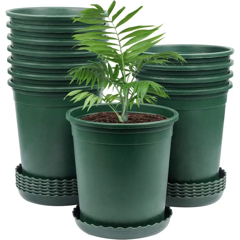 1 Gallon Pots, 6-Pack, Drainage Holes, Suitable for Indoor/Outdoor Plants, Seedlings, Succulents, Cuttings
1 Gallon Pots, 6-Pack, Drainage Holes, Suitable for Indoor/Outdoor Plants, Seedlings, Succulents, Cuttings