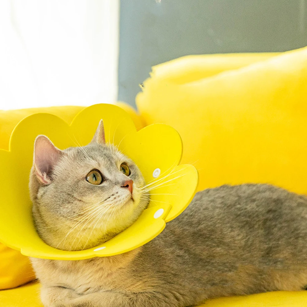 2pcs Anti-Lick Collar Bright Color Pet Supplies Elizabethan Collar Soft Durable Dog Accessories Protective Circle
2pcs Anti-Lick Collar Bright Color Pet Supplies Elizabethan Collar Soft Durable Dog Accessories Protective Circle