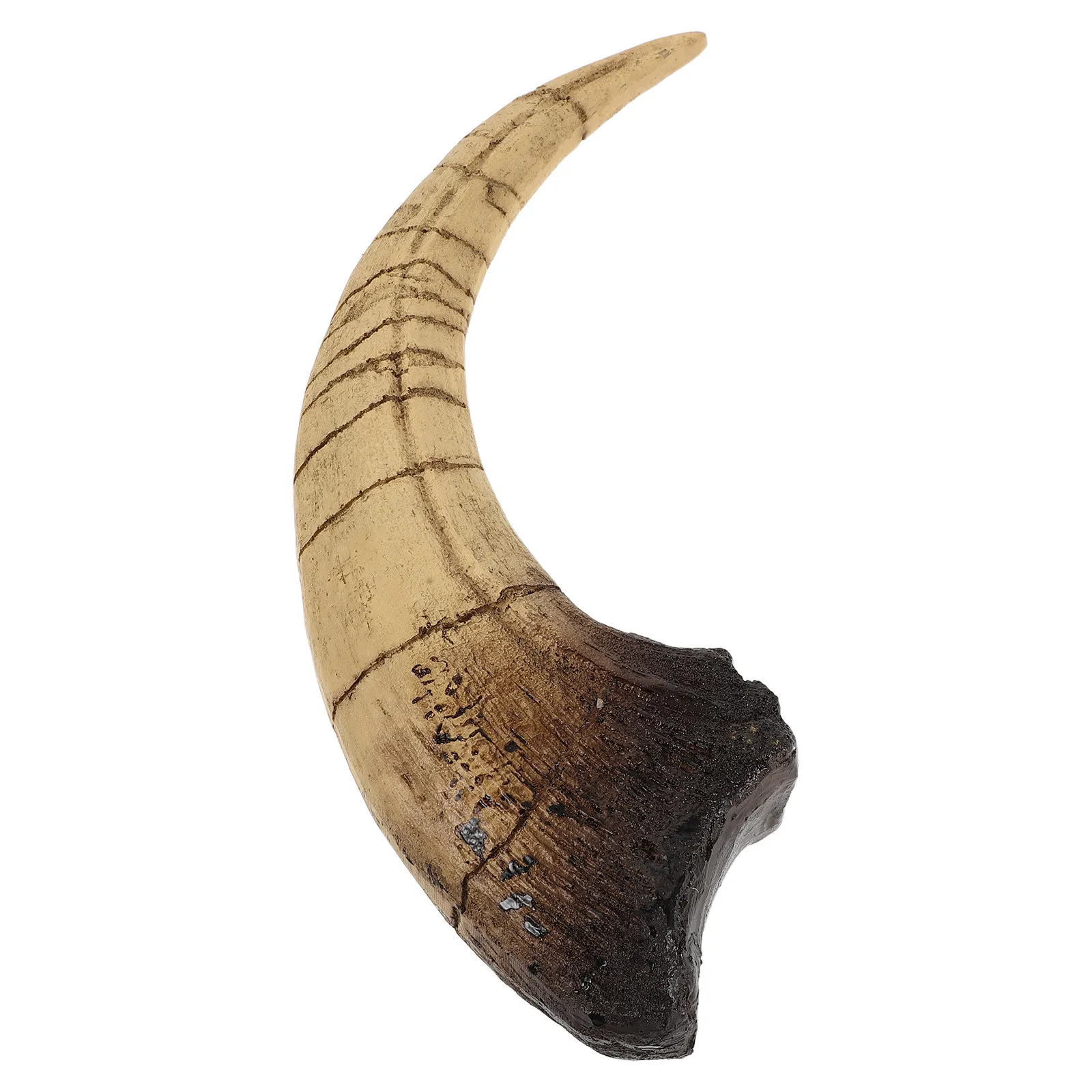 Simulated Resin Dinosaur Claw Sculpture Realistic Tyrannosaurus Prehistoric Claw Decor Dinosaur Themed Room Party
Simulated Resin Dinosaur Claw Sculpture Realistic Tyrannosaurus Prehistoric Claw Decor Dinosaur Themed Room Party
