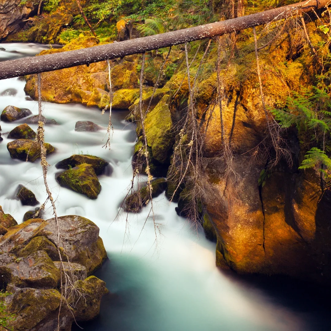 For Volvo XC60 2009 - 2017 Android Wireless Carplay Auto Car Radio GPS Multimedia Player Stereo DSP Head Unit Car GPS
For Volvo XC60 2009 - 2017 Android Wireless Carplay Auto Car Radio GPS Multimedia Player Stereo DSP Head Unit Car GPS