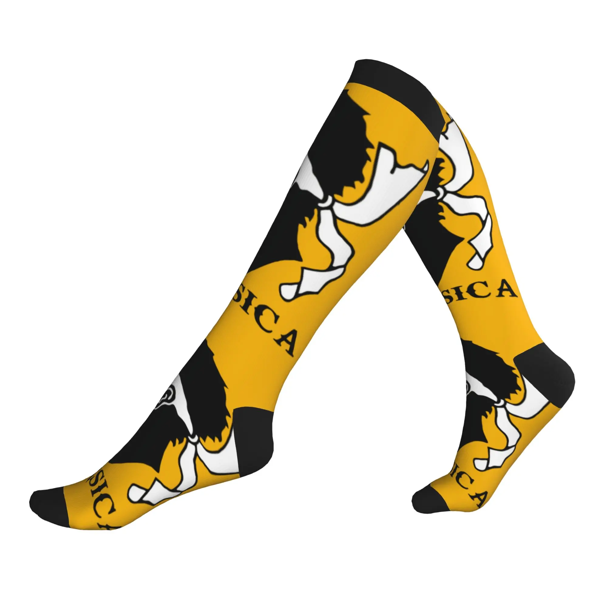 Kawaii Print Sardinia Flag Four Moors Socks Stretch Summer Autumn Winter Italy Sardegna Coat of Arms Sports Compression Socks
Kawaii Print Sardinia Flag Four Moors Socks Stretch Summer Autumn Winter Italy Sardegna Coat of Arms Sports Compression Socks