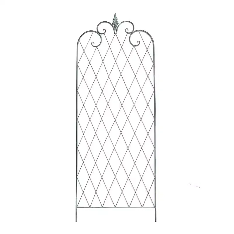 American clematis climbing vine flower stand wrought iron mesh screen rose flower stand European outdoor garden gardening
American clematis climbing vine flower stand wrought iron mesh screen rose flower stand European outdoor garden gardening