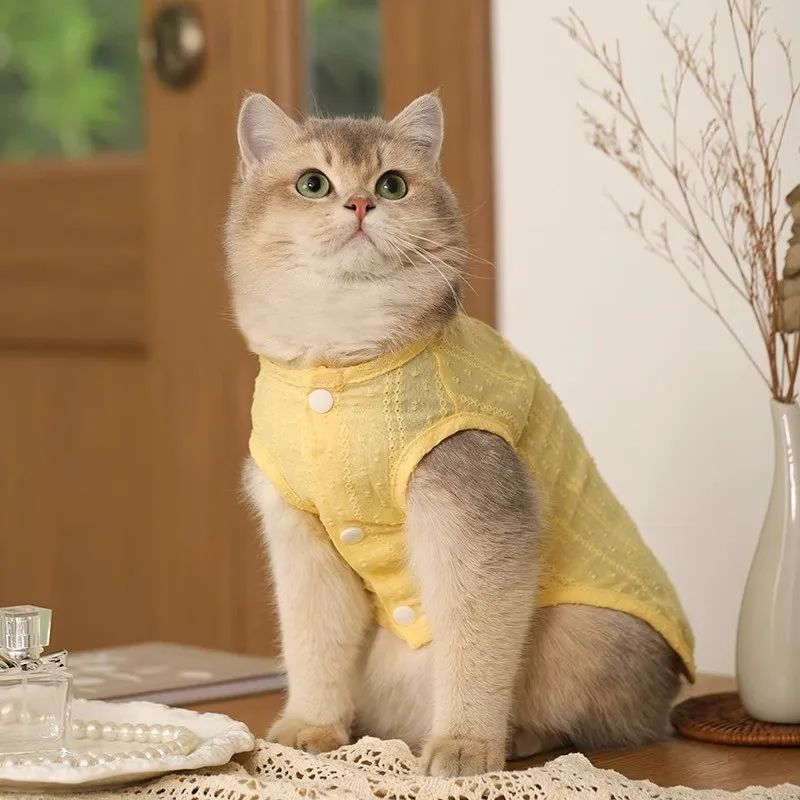 Kitten cat clothes summer thin light breathable puppet British short gold gradient spring and summer dog pet clothes
Kitten cat clothes summer thin light breathable puppet British short gold gradient spring and summer dog pet clothes