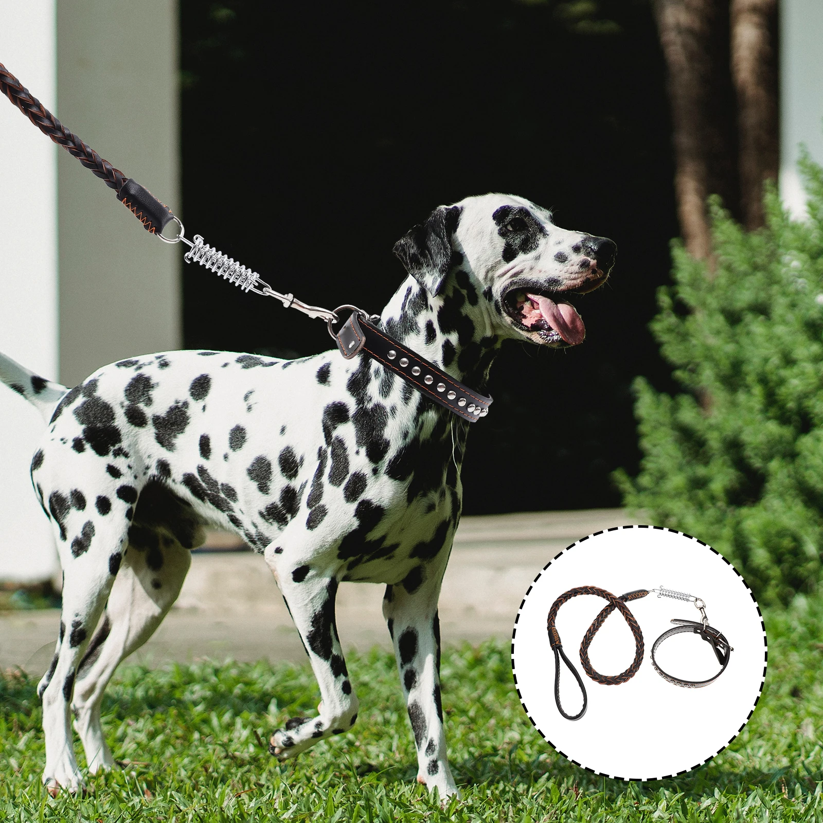 Premium Medium Size Dog Leash Set Outdoor Pet Walking Rope Durable Collar Braided Escape Proof Adjustable For Large
Premium Medium Size Dog Leash Set Outdoor Pet Walking Rope Durable Collar Braided Escape Proof Adjustable For Large