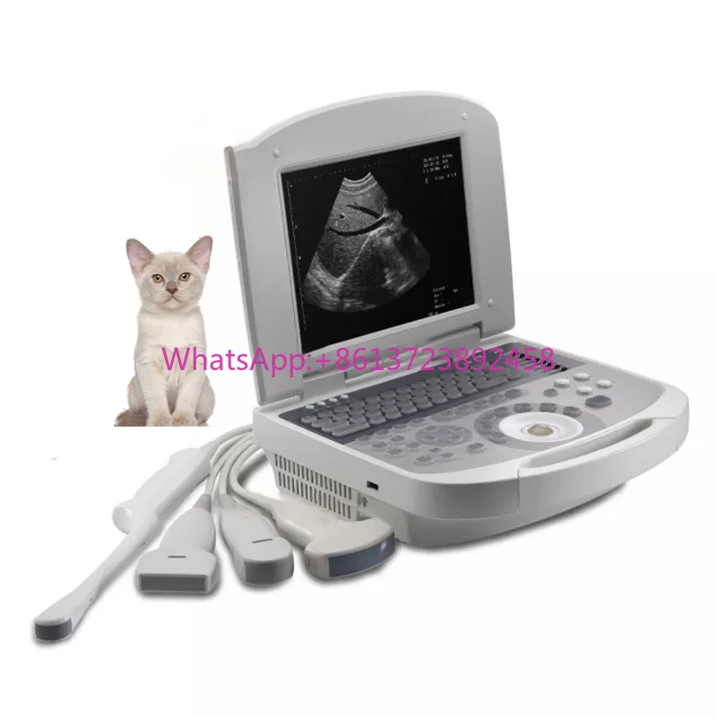 VET High-Performan Portable Black and White Ultrasonic Diagnosis Veterinary Equipment for Cattle
VET High-Performan Portable Black and White Ultrasonic Diagnosis Veterinary Equipment for Cattle