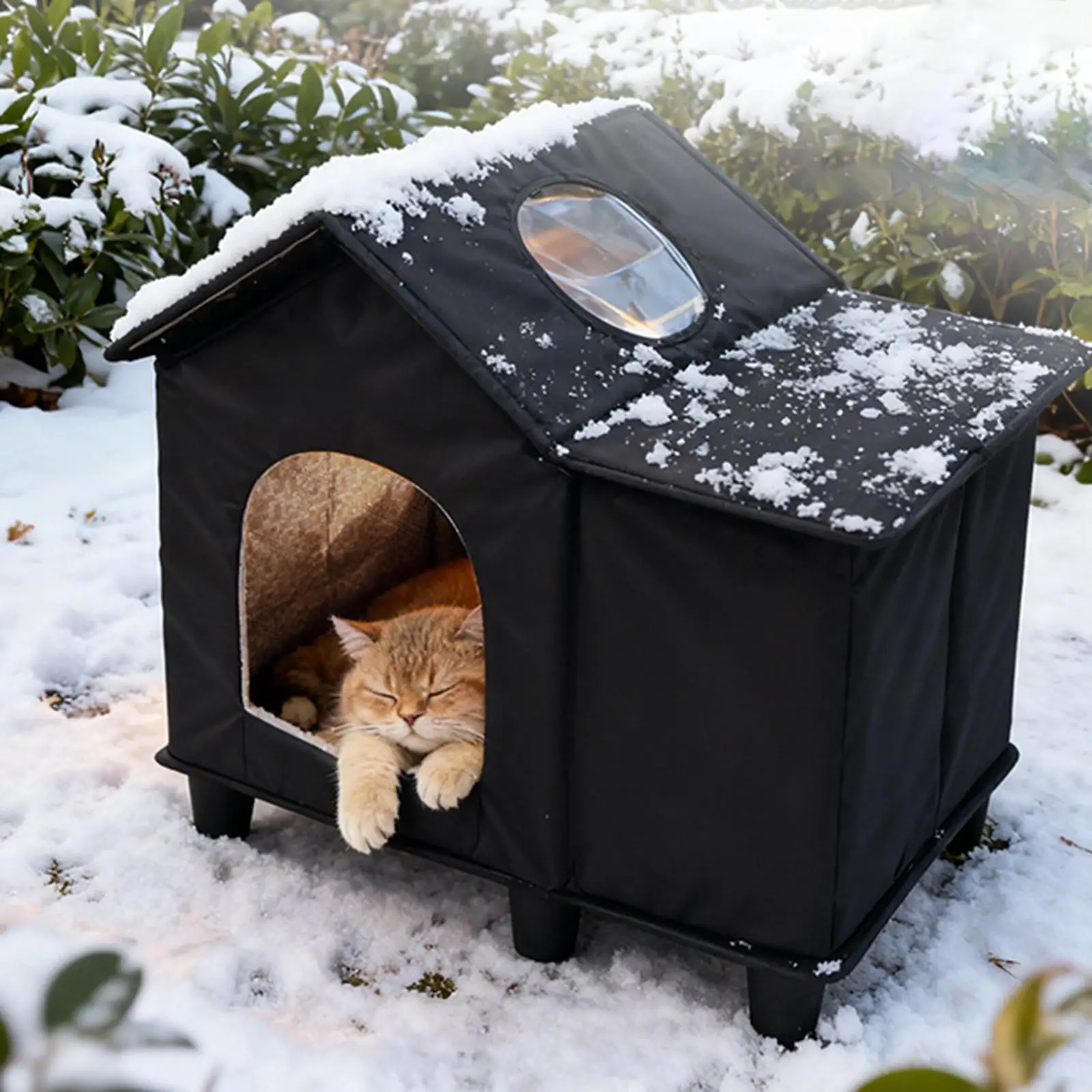 Уличный домик для кошек, домик для котят, водонепроницаемый, из ткани Оксфорд, защитный, портативный, непромокаемый, тент для кошек для зимы, сада, сарая, заднего двора
Уличный домик для кошек, домик для котят, водонепроницаемый, из ткани Оксфорд, защитный, портативный, непромокаемый, тент для кошек для зимы, сада, сарая, заднего двора