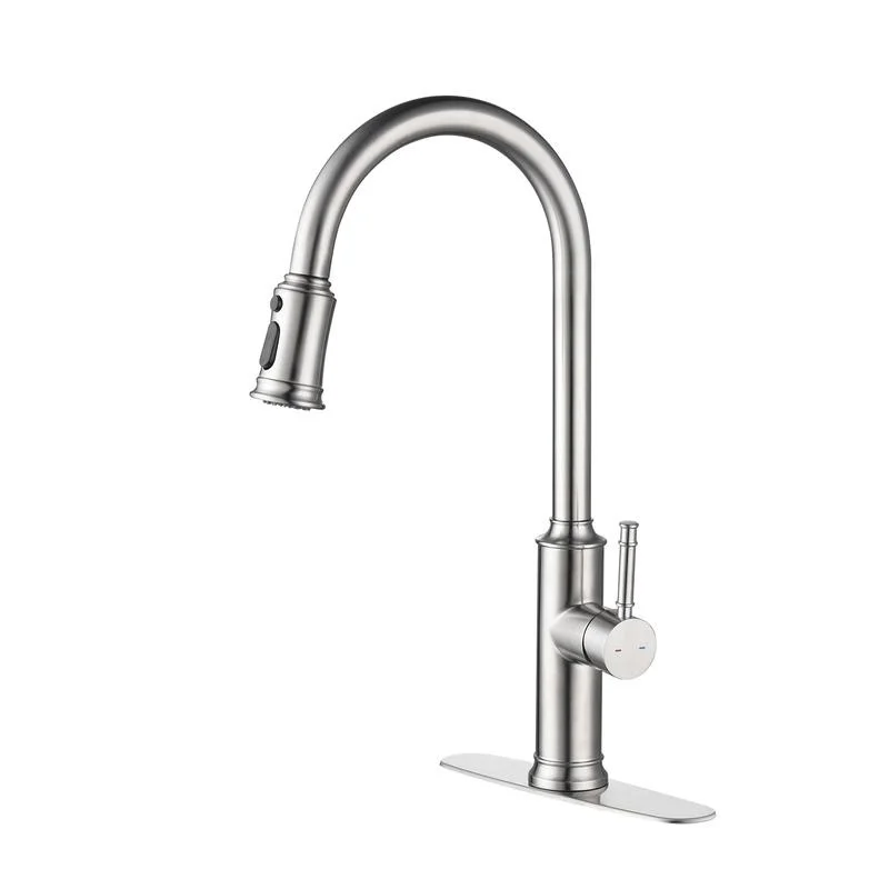 Pull Down Kitchen Faucet with Modern Sprayer
Pull Down Kitchen Faucet with Modern Sprayer