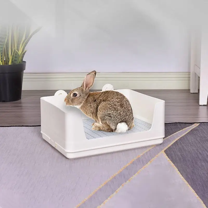 Double-layer Rabbit Toilet With Upper And Lower Separation For Guinea Pigs And Chinchillas, Anti-spray Urine Pet Toilet
Double-layer Rabbit Toilet With Upper And Lower Separation For Guinea Pigs And Chinchillas, Anti-spray Urine Pet Toilet