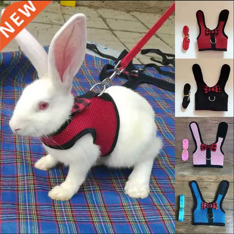Pet Rabbit Hamster Mesh Soft Adjustable Harness Leash Ferret Guinea Pig Small Animal Walk Lead Bunny Pigs Chinchillas Necklace
Pet Rabbit Hamster Mesh Soft Adjustable Harness Leash Ferret Guinea Pig Small Animal Walk Lead Bunny Pigs Chinchillas Necklace
